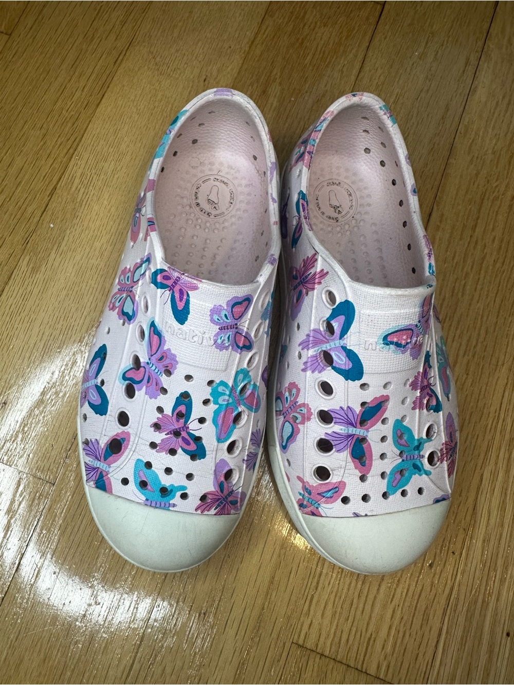 Native 10c Butterfly Print